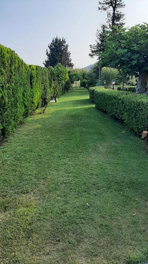 Casale Battaglini Castelnuovo Cilento Exterior foto